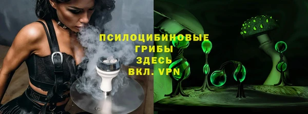 бошки Осинники