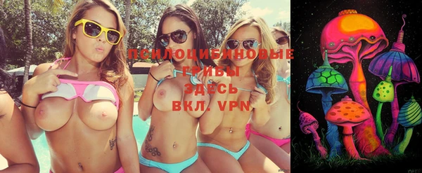 бошки Осинники